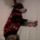 Dormidito como bb :)